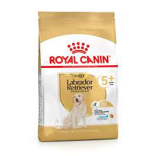 Labrador Retriever Royal Canin Adult Dry Dog Food