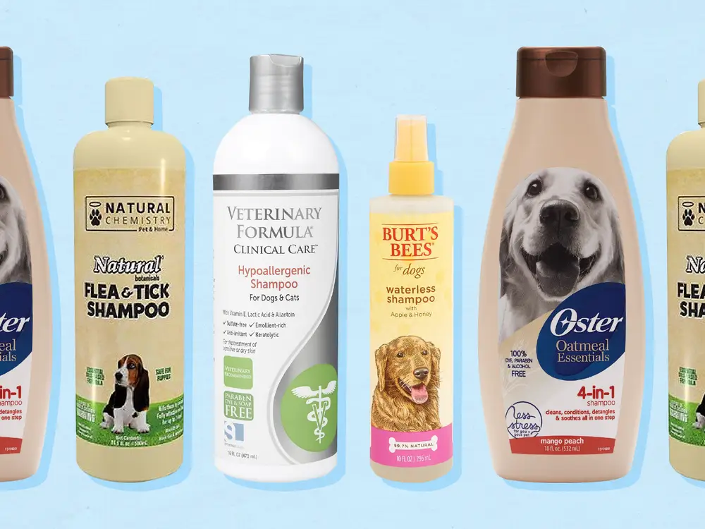 Best Smelling Dog Shampoo 2022