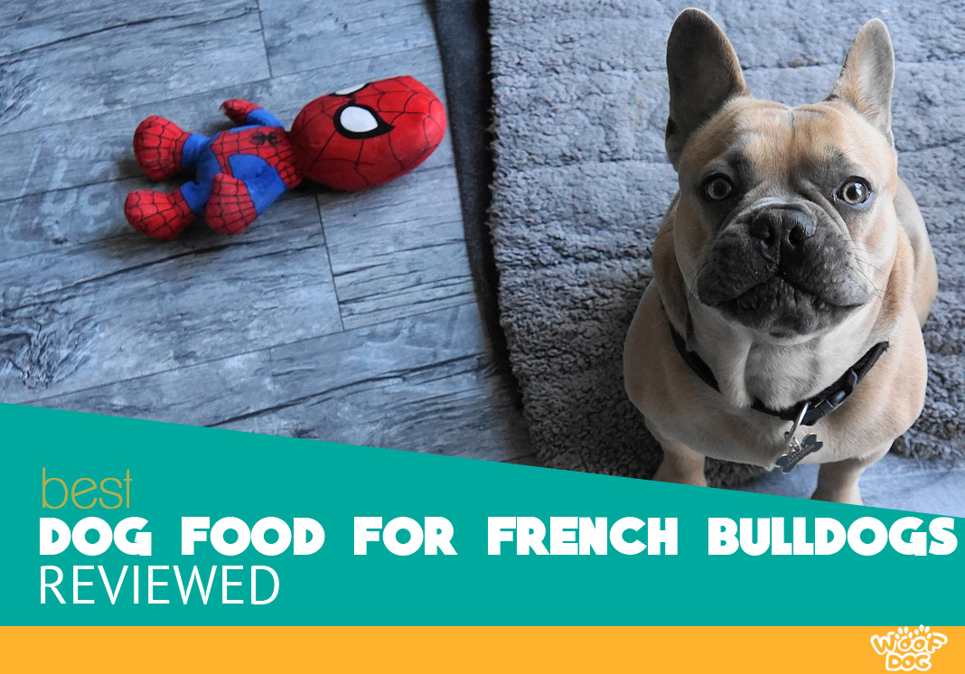 Best Dog Food For French Bulldogs 2022