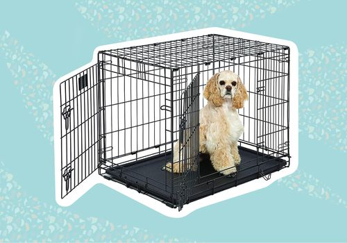 Best Dog Crates For Large Dogs 2022
