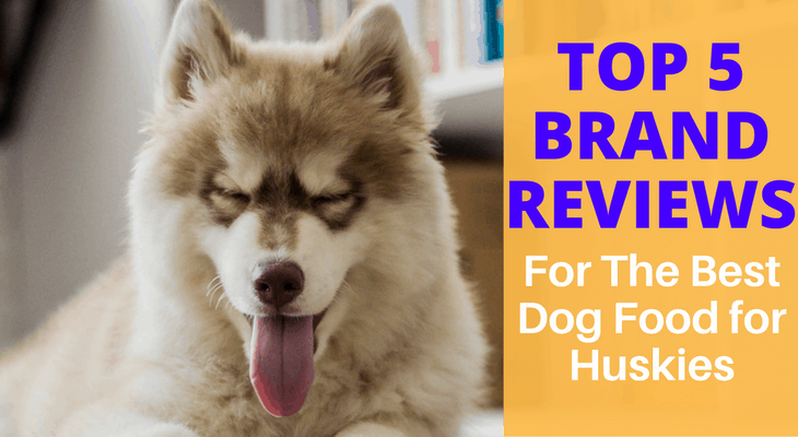 Best Dog Food For Huskies 2022