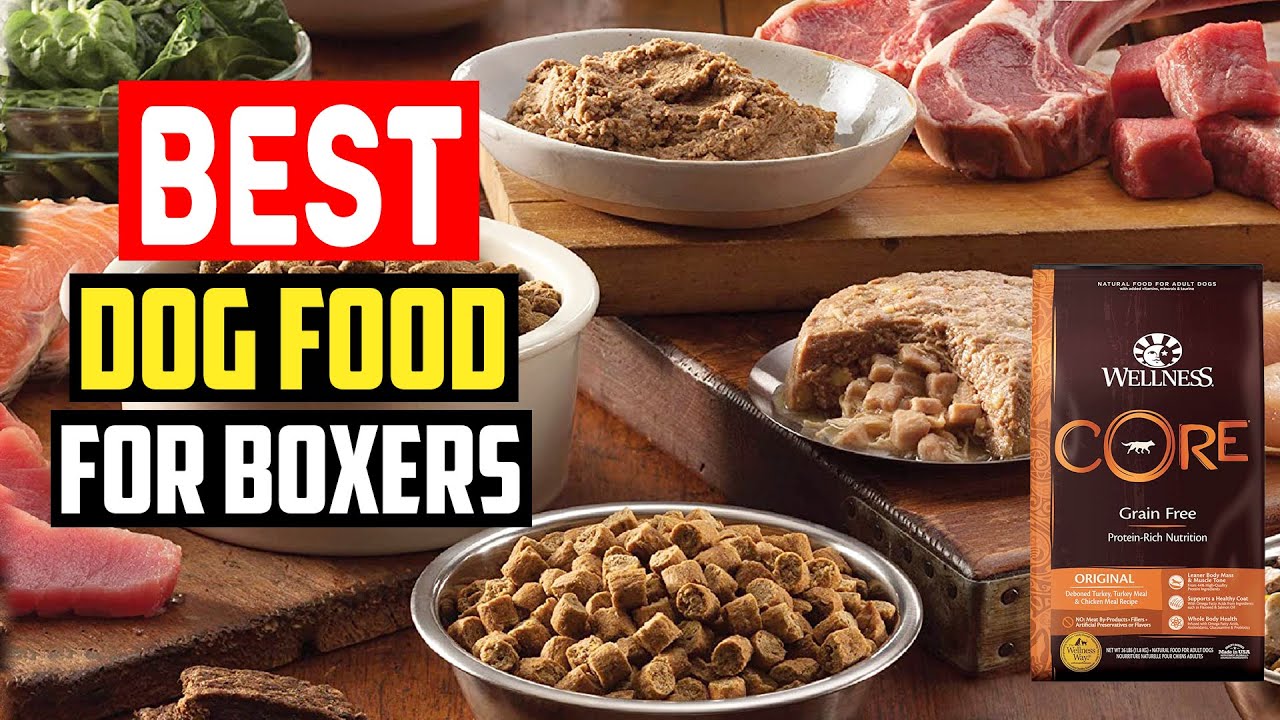Best Dog Food For Boxers 2022
